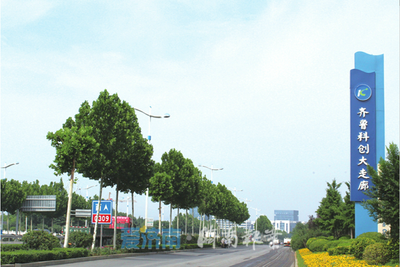 答卷2021 濟(jì)南軟件與信息技術(shù)服務(wù)業(yè)——拼搏不息，“走在前”的強(qiáng)勁引擎